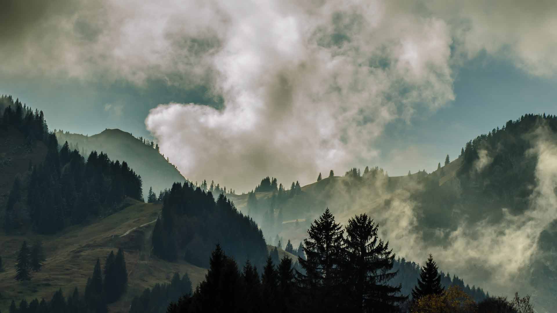 Featured image for “Depression oder Erschöpfung”